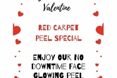 Katie_Kerl_Valentines_Day_Article_heart_dessert_red_carpet